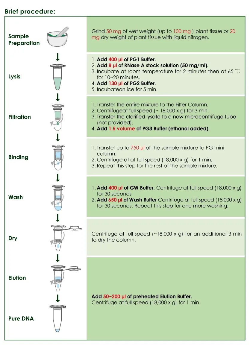 Brief procedure for Plant Genomic DNA Extraction Mini Kit