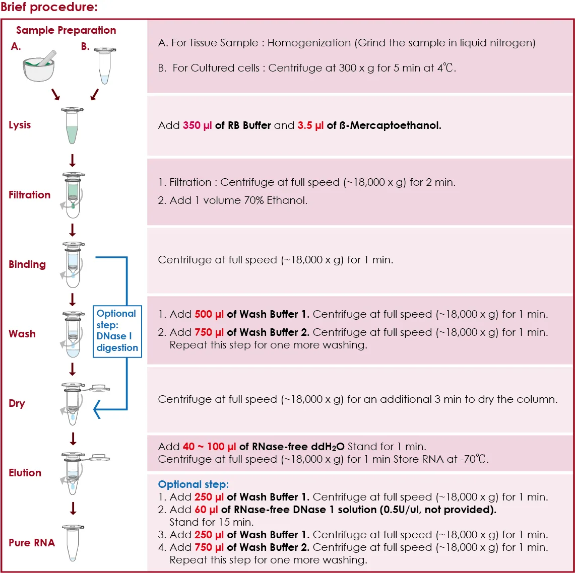 Brief procedure for Tissue Total RNA Mini Kit