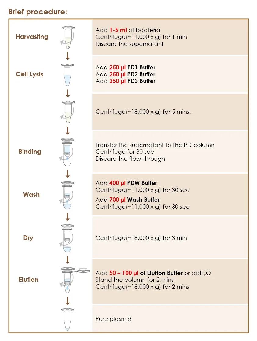 Brief procedure for High Yield Plasmid Extraction Mini Kit